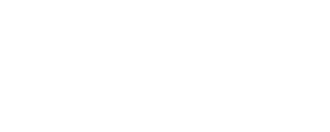 Saints in the Spotlight